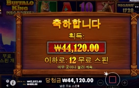 아오~~버팔로 진짜!!! 이것들을 어찌 혼내주지!!