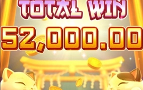 우드슬롯사이트 피지후기