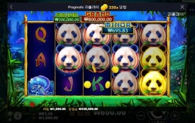 판다 이제좀 풀어주나~~ㅅㅅ