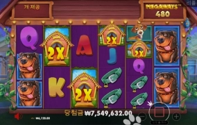 개집 승부!!! 1200배 성공~주말 알차게 시작 굿굿!!ㅋ