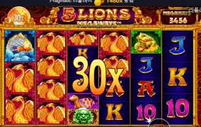 5라이온즈 불사조 모닝샷!!!