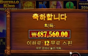 버팔로 이게 얼마만에 먹는거야 고맙다ㅠㅠ