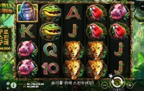 올림푸스 슬롯사이트 후기