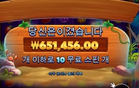 와일드비치 갓댐