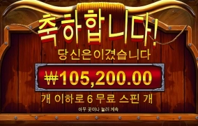 맥스윈 블랙불 스타트입니다