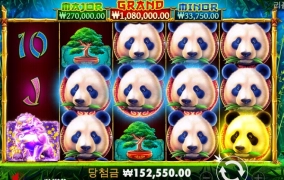 강파카지노 최고~