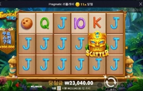 트로피칼 티키 사대 드럽게 안맞네