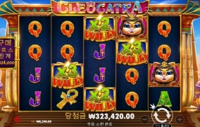 고냥이도 오늘은 실패 수고요