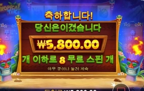 트로피칼 씨부레 망할놈들