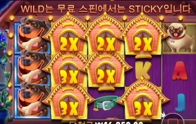 "도그 하우스" 불독 건졌습니다 ^^@