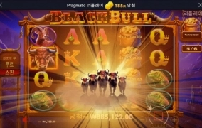 ㅎㅎㅎ 블랙불스 180배 개샷