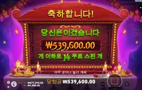 중독된 슬롯게임