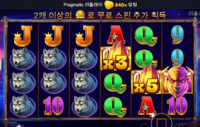 늑대 쉐리 ♥  버팔로는 사랑입니다 ^^