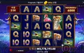 오늘 맛집은 코뿔소 390배 고맙고 ㅅ