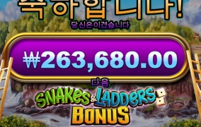 사다리 오지게 타봤네