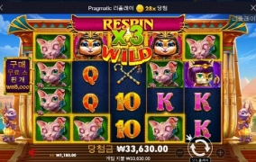 오늘은 케트라도 안주네 아오