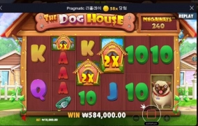 개집 개망 아오