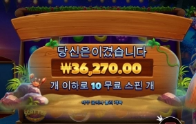 와일드비치 너무하는구만 ㅋ