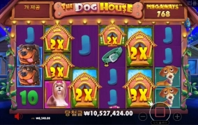 개집 1270배 ㅅㅅ 금융치료 제대로 받은날