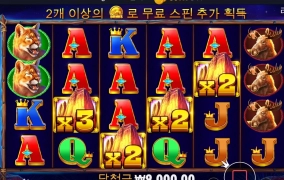 버팔로가준 크리스마스 선물