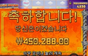 플로팅드래곤 나이스네요