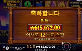 오늘은 팔로가 좋구나 ㅋ