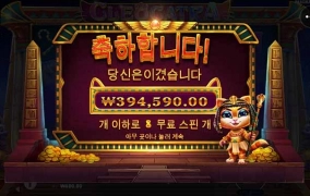 고양이는 사랑입니다