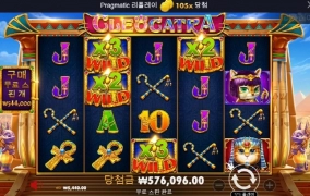 고냥이랑 재미나게 놀고 갑니다 ㅎㅎ