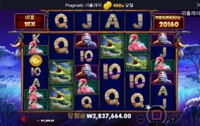 라이노메가 400배 선물 고맙고 ㅋ