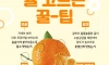 주무르면 맛있어진다고? 귤 고르는 꿀팁