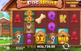 착한개는 없다고 그러던데 개뻥이야 ㅠㅠ