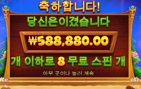 진짜 오지게 안뜨는데 이거 ㅡㅡ 먹었다