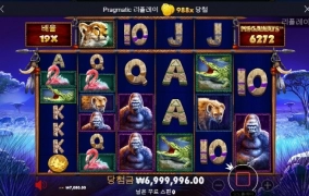 라이노메가 988배 까비 ㅋㅋ 좀만더 챙겨주지