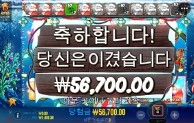 베스들이 겨울되니 다 도망갔다
