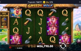 돼지시키들 진짜 다 구워먹어뿔까