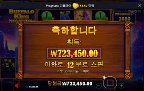 버팔로킹 드디어 터졌습니다 ㅎㅎㅎ510배