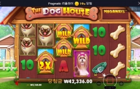 개시키들 진짜 너무하네