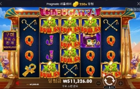 캐트라 달달하다 ㅅㅅ