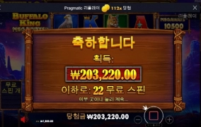 버팔로킹 잘놀고 간다