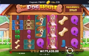 올만에 강아지 산책