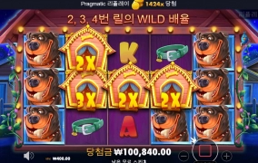 뼈다귀 감자탕이 생각나게 하는 가토~