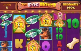 이세상에 나쁜개는 없다 ~!