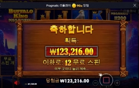 버팔로 먹죽먹죽 안터짐 ㅜㅜ