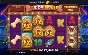 불독이 안나오네 아꾸비 ㅎ