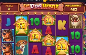 200원의 행복~!  도그하우스 메가웨이즈