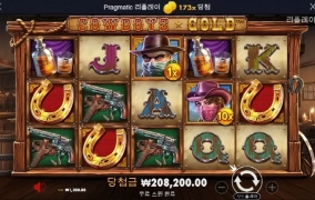 카우보이 좀 털어보자