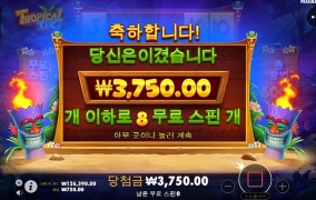 슬롯사이트에서 녹는중....