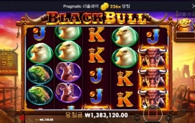 블랙불스 소소하게 묵었습니다