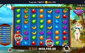 와일드 비치 그지 같네 덴장