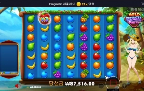 와일드비치 진짜 미친거 아님